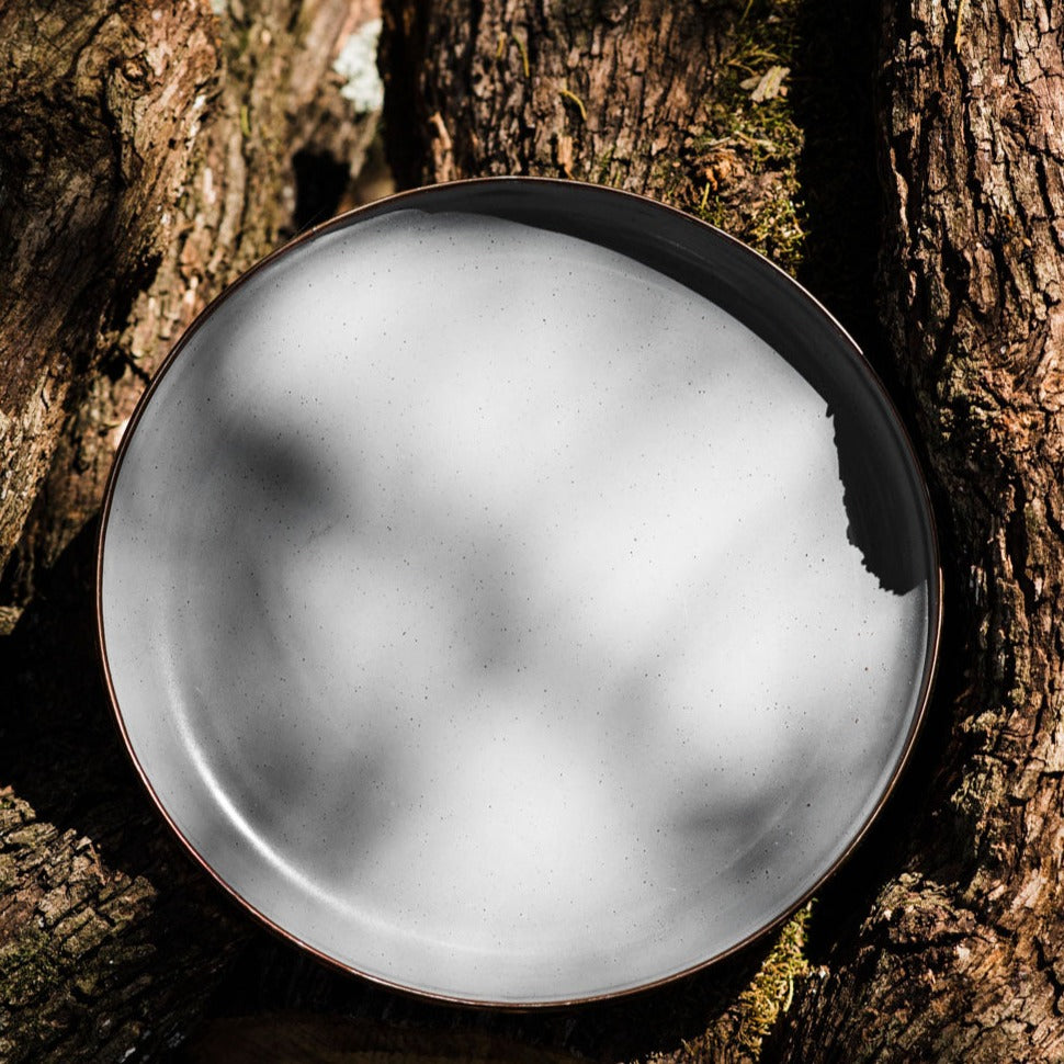 Barebones Living Enamel Plate set of 2 - Slate Gray